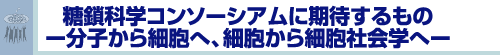 糖鎖科学コンソーシアムに期待するもの