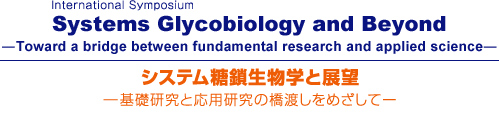 システム糖鎖生物学と展望 ―基礎研究と応用研究の橋渡しをめざしてー