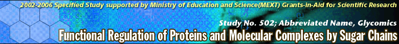 Functional Regulation of Proteins and Molecular Complexes by Sugar Chains