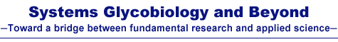 International Symposium Systems Glycobiology and Beyond ―Toward a bridge between fundamental research and applied science―