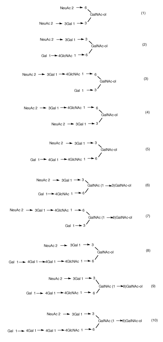 図-４　燕窩ムチンの糖鎖構造