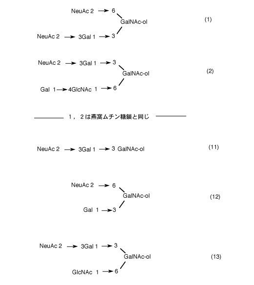 図-５　オボムチンの糖鎖構造