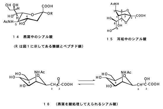 図-6 燕窩のシアル酸