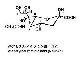 図-9 N-アセチルノイラミン酸