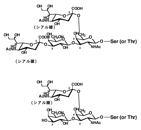 図-１６　ムチン型糖タンパク質（O-グリコシド型）の代表例